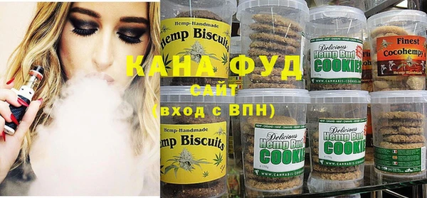 индика Волоколамск