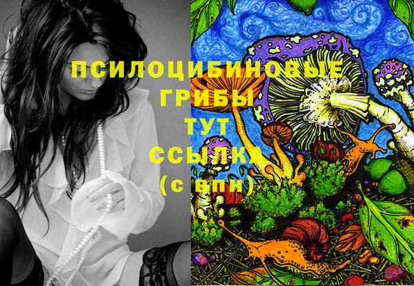 индика Волоколамск