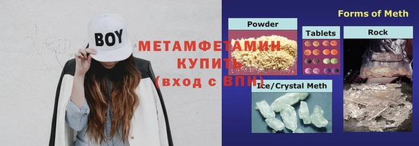 индика Волоколамск