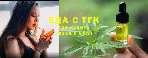 индика Волоколамск