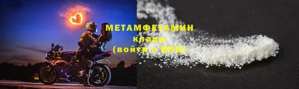 индика Волоколамск