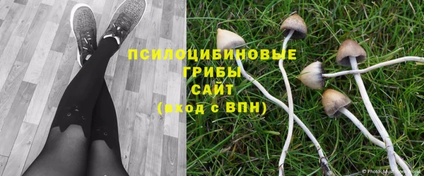 индика Волоколамск