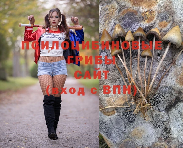 дживик Волосово