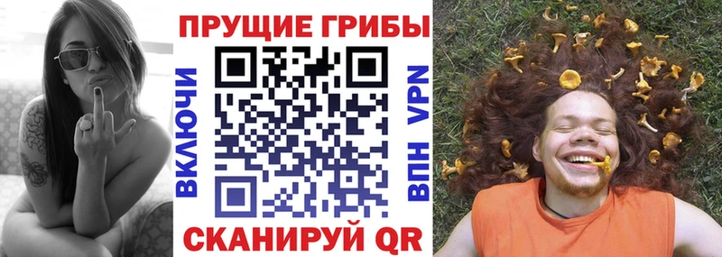Галлюциногенные грибы GOLDEN TEACHER  цена наркотик  Павлово 