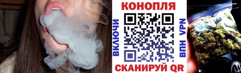 купить   Павлово  МАРИХУАНА сатива 